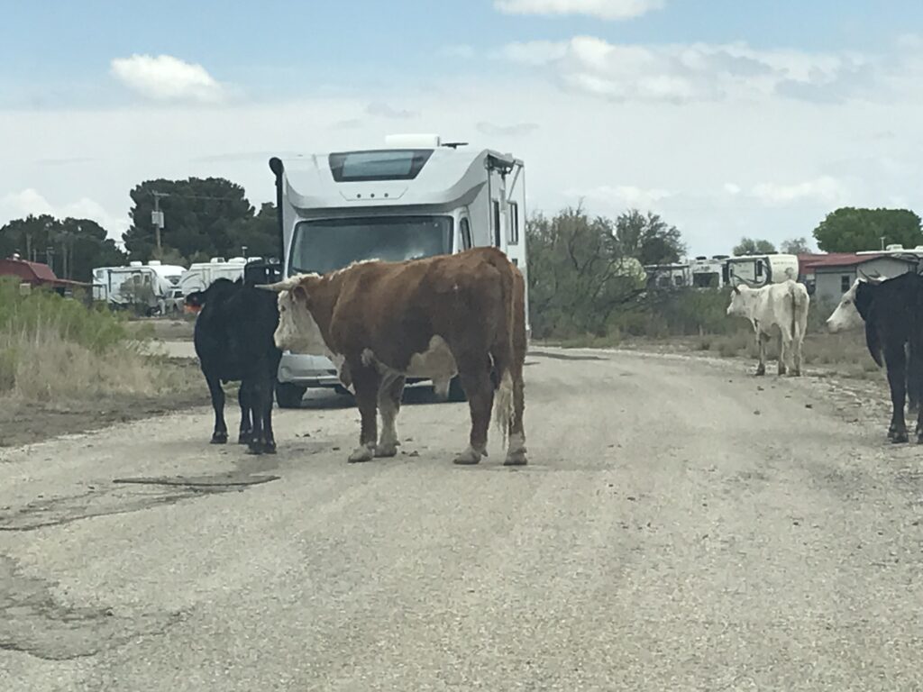 The Ranch traffic jam